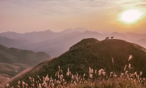 Một lần say miền hứa Bình Liêu để nhớ thương biên giới cả đời
