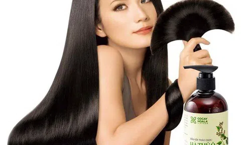 Chăm sóc tóc bằng hà thủ ô nên gội hay uống để hiệu quả, an toàn