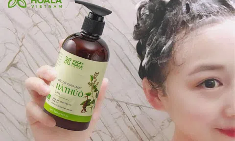 Bạc tóc sớm do gen di truyền có thể cải thiện được không?