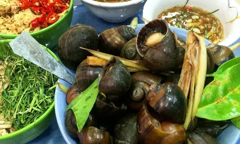 Hà Nội thu, nhớ món ngon từ ốc