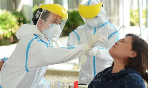 Sáng 6/11, Việt Nam có thêm 3 ca mắc mới COVID-19, đều là ca nhập cảnh