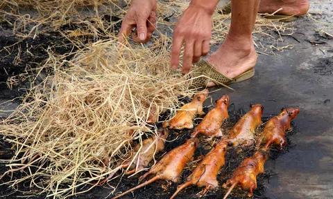 Món thịt chuột đặc sản của người làng Giống