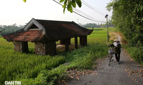 Hà Nội: Bí ẩn những ngôi quán cổ dành cho "người đã khuất" ở làng Đường Lâm
