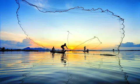 Say lòng trước vẻ đẹp của miền Tây mùa nước nổi khi tiết trời sang thu