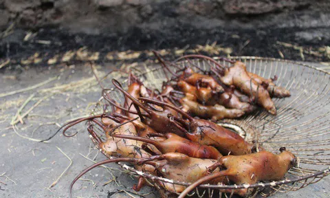 Điều kỳ lạ ở ngôi làng nghiện ăn thịt chuột