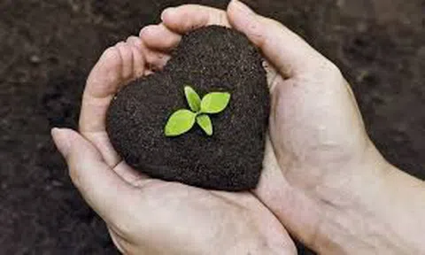 Sức khỏe của đất đang trong tình trạng phải... đi cấp cứu!