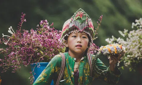 'Phát triển thiếu bền vững, Sa Pa đang mất dần vẻ đẹp vượt thời gian'