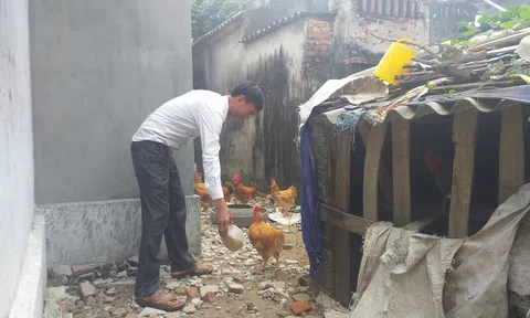 Đồng Minh (Vĩnh Bảo – Hải Phòng): Cần sớm chi trả tiền hỗ trợ thiệt hại gia cầm cho người dân