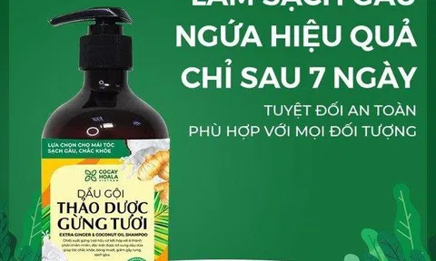 Dầu gội thảo dược làm sạch gàu gừng dừa hữu cơ cỏ cây hoa lá có tốt không? Giá bao nhiêu? Nên mua ở đâu để được hàng chính hãng?