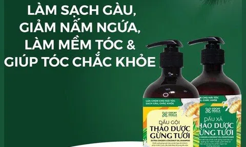Dầu gội trị gàu tốt nhất dành cho nam giới?