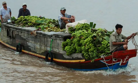 Những thương hồ trên đất Phương Nam