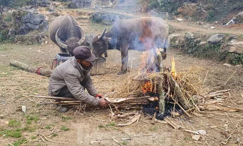 Hà Giang rét tê tái, người dân nổi lửa sưởi ấm cho gia súc