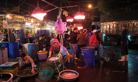 Tiểu thương co ro trong đêm rét 12 độ C