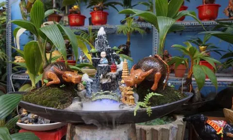 Độc đáo bonsai dừa tạo hình con trâu đón Tết Tân Sửu 2021