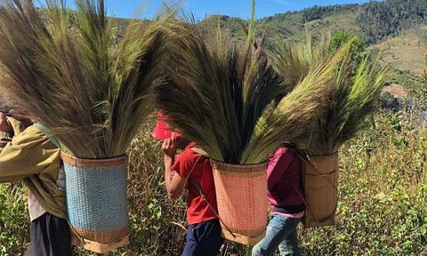 Người dân đổ xô đi "nhặt" lộc trời đầu năm bất chấp nguy hiểm rình rập