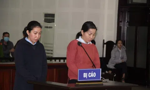 Lừa bán đất dự án chiếm đoạt 103 tỷ đồng, 2 nữ quái lãnh án chung thân
