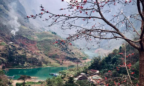 Hoa gạo tháng 3 – Ngọn đèn đỏ trên địa đầu tổ quốc Hà Giang
