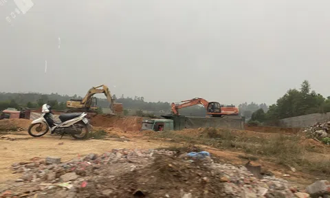 Vĩnh Phúc: Cần kiên quyết với tình trạng khai thác đất trái phép