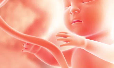 Mẹ bầu mạnh tay chi ngàn đô đầu tư cho “Nghé vàng” và đây là lý do