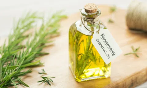 6 tác dụng của cây hương thảo có lẽ bạn cũng chưa biết