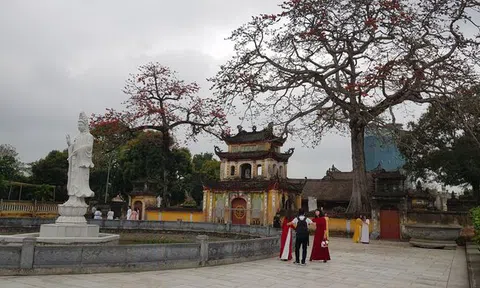 Hải Phòng: Sư trụ trì chùa Trung Hành bị tố hung hăng với người vãn cảnh