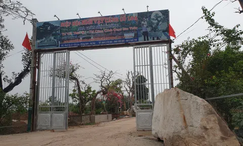 Cổ Loa - Đông Anh: Cần làm rõ trách nhiệm người đứng đầu đối với sai phạm trên đất nông nghiệp