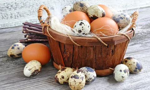 So sánh sự khác biệt về dinh dưỡng của các loại trứng