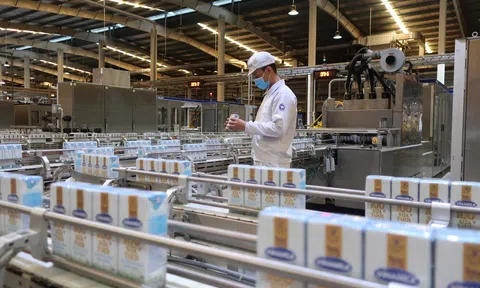 Vinamilk tiếp tục dẫn đầu ngành sữa nước trong nhiều năm