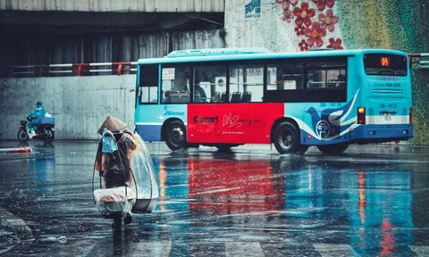 Cơn mưa đầu mùa hạ vào một buổi sáng tháng 5
