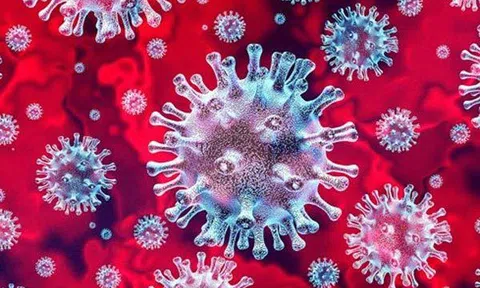 Việt Nam phát hiện thêm hai biến chủng SARS-CoV-2 mới, từ những ca bệnh nhập cảnh