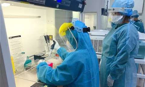 Trưa 24/5: Thêm 33 ca mắc COVID-19 trong nước tại Bắc Giang, Hải Dương và Đà Nẵng