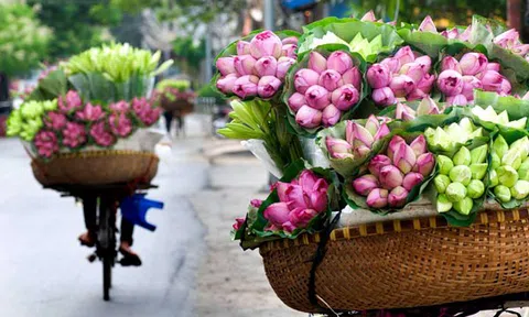 Hà Nội rực rỡ trong những sắc hoa mùa hè