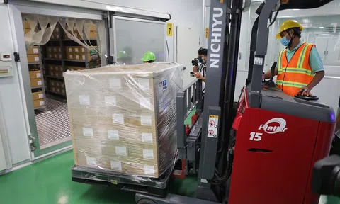 836.000 liều vắc xin COVID-19 được bảo quản thế nào trong kho lạnh ở TP.HCM?