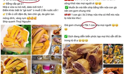 Nguồn gốc đáng lo ngại của loại gà ủ muối tiêu siêu rẻ trên chợ mạng