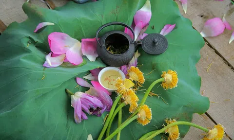 Trà sen, một thoáng tinh hoa Tây Hồ