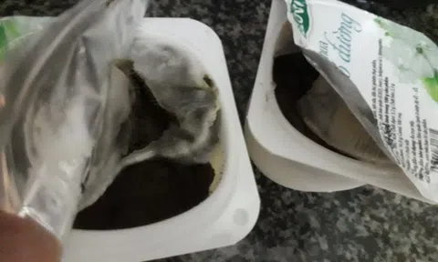 Sữa chua Elovi có đường bị mốc xanh dù vẫn còn hạn sử dụng
