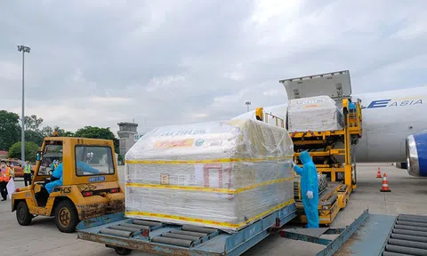 Hơn 97.000 liều vắc xin phòng COVID-19 của Pfizer/BioNtech đầu tiên đã về Việt Nam