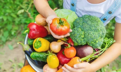 Mất bao lâu để chúng ta tiêu hóa thức ăn?