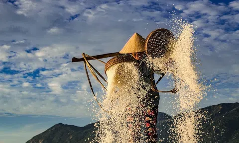 Hòn Khói trắng tinh từng ruộng muối