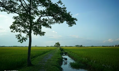 Bình yên những chiều quê ở ngoại thành Hà Nội