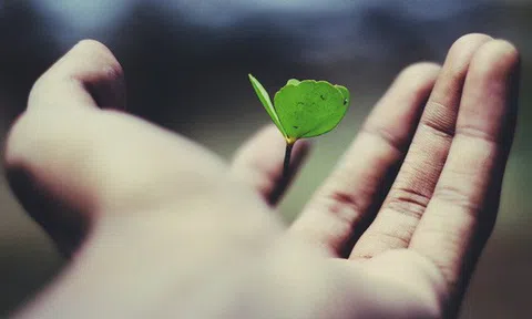 Hạnh phúc đâu xa xôi, chỉ cần làm tốt 5 điều này hàng ngày