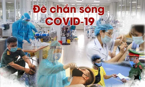 Đê chắn sóng Covid-19