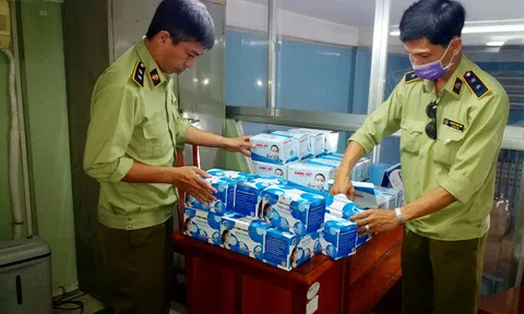 AN GIANG: Bắt xe ô tô tải đang vận chuyển 207.400 khẩu trang y tế