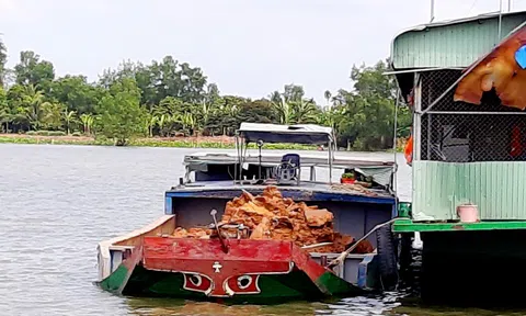 Thành phố Cần Thơ: Phát hiện 7 sà lan khai thác khoáng sản trái phép trên sông Hậu