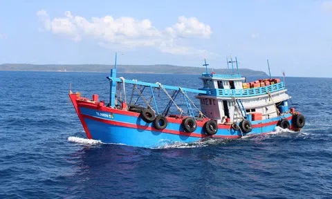 Kiên Giang: Bắt giữ tàu chở 50.000 lít dầu D.O không rõ nguồn gốc