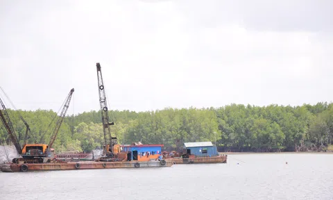TP. Hồ Chí Minh: Đề nghị chọn nhà đầu tư có năng lực để triển khai dự án xã hội hóa nạo vét