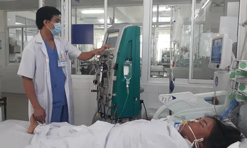 Đà Nẵng: 3 người phải nhập viện cấp cứu vì ngộ độc nặng do ăn nấm