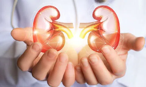 Bí quyết giúp thận luôn khỏe mạnh