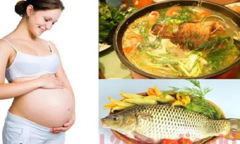 Những loại cá bà bầu nên ăn tốt cho thai nhi