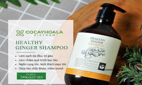 Lo lắng vì viêm nhiễm phụ khoa trong thai kỳ - Những điều mẹ bầu cần phải biết!